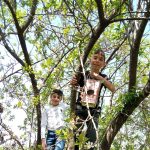 Children hanging bird feeders