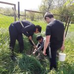 Students working in the garden